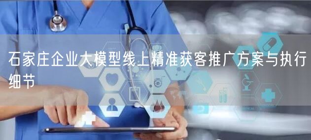 石家庄企业大模型线上精准获客推广方案与执行细节