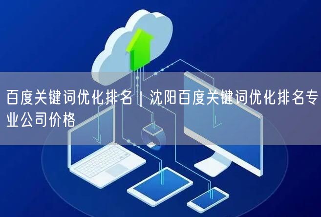 百度关键词优化排名｜沈阳百度关键词优化排名专业公司价格