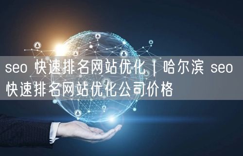 seo 快速排名网站优化｜哈尔滨 seo 快速排名网站优化公司价格