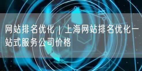 网站排名优化｜上海网站排名优化一站式服务公司价格