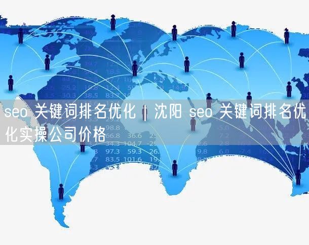 seo 关键词排名优化｜沈阳 seo 关键词排名优化实操公司价格