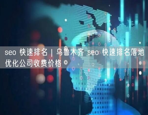 seo 快速排名｜乌鲁木齐 seo 快速排名落地优化公司收费价格