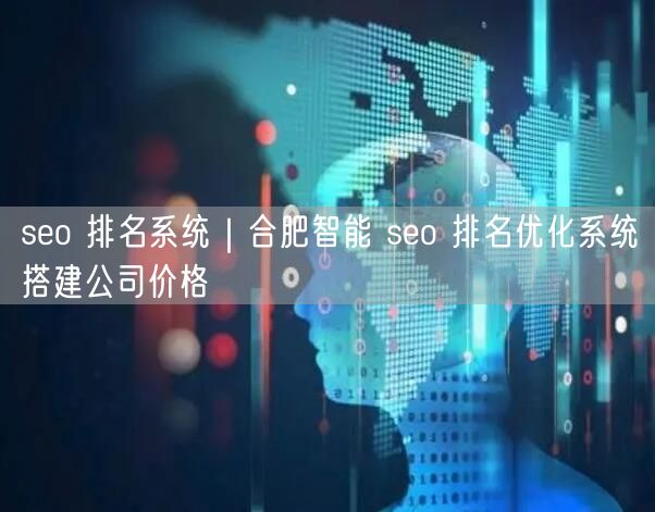 seo 排名系统｜合肥智能 seo 排名优化系统搭建公司价格