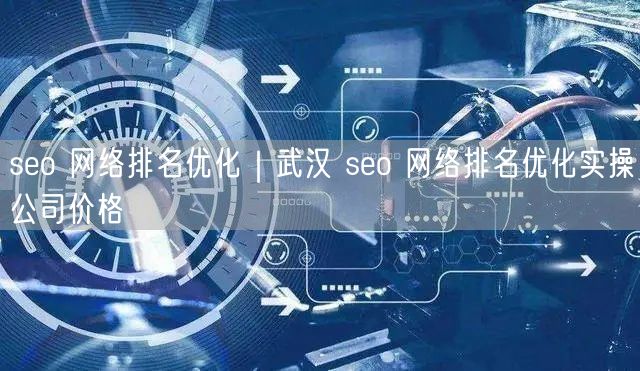seo 网络排名优化｜武汉 seo 网络排名优化实操公司价格