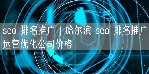 seo 排名推广｜哈尔滨 seo 排名推广运营优化公司价格