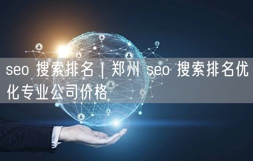 seo 搜索排名｜郑州 seo 搜索排名优化专业公司价格