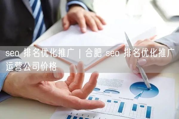 seo 排名优化推广｜合肥 seo 排名优化推广运营公司价格