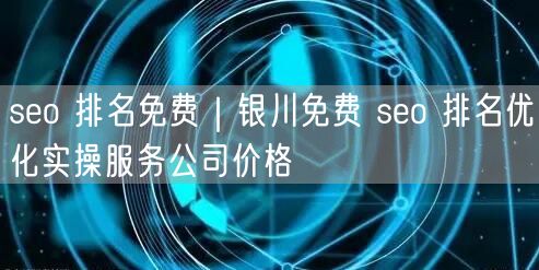 seo 排名免费｜银川免费 seo 排名优化实操服务公司价格