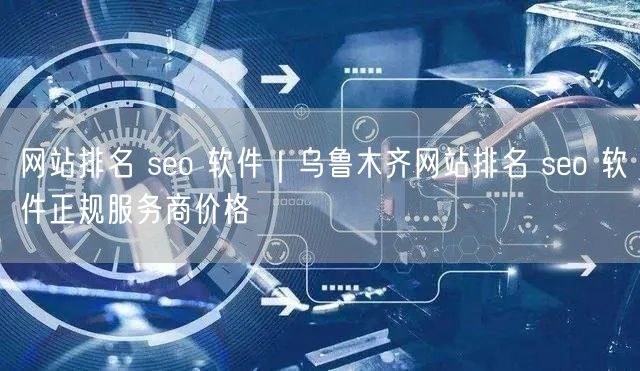 网站排名 seo 软件｜乌鲁木齐网站排名 seo 软件正规服务商价格