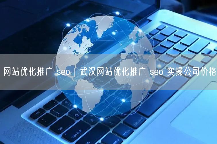 网站优化推广 seo｜武汉网站优化推广 seo 实操公司价格