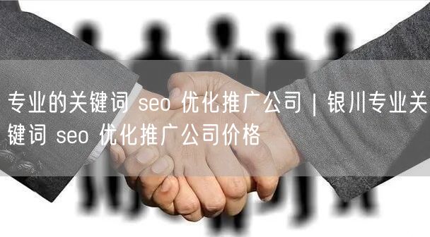 专业的关键词 seo 优化推广公司｜银川专业关键词 seo 优化推广公司价格