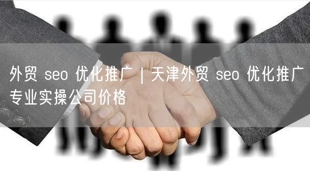 外贸 seo 优化推广｜天津外贸 seo 优化推广专业实操公司价格