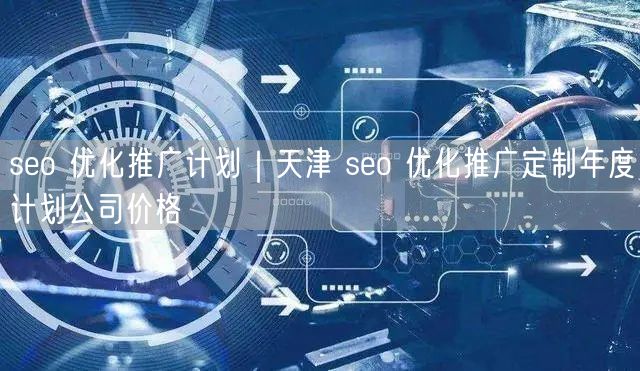 seo 优化推广计划｜天津 seo 优化推广定制年度计划公司价格