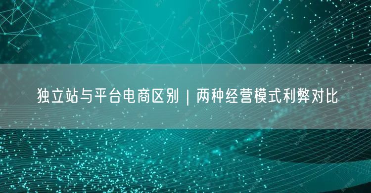 独立站与平台电商区别｜两种经营模式利弊对比