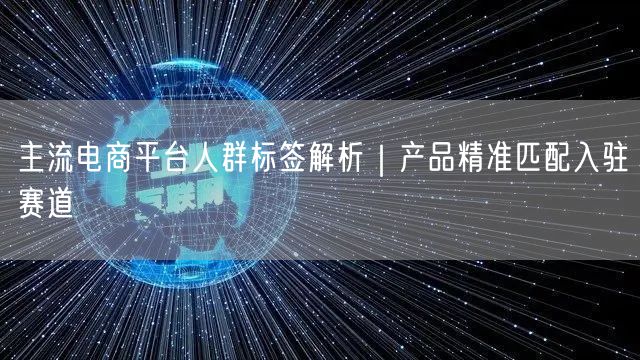 主流电商平台人群标签解析｜产品精准匹配入驻赛道
