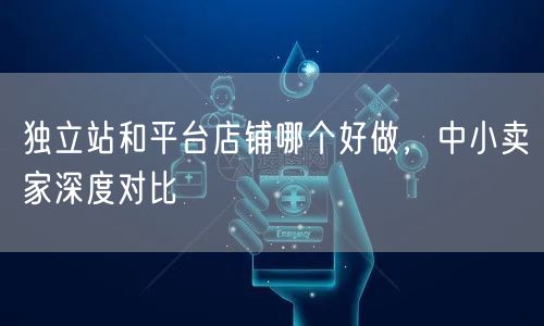 独立站和平台店铺哪个好做，中小卖家深度对比