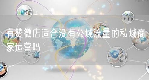 有赞微店适合没有公域流量的私域商家运营吗