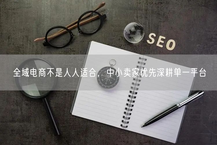 全域电商不是人人适合，中小卖家优先深耕单一平台