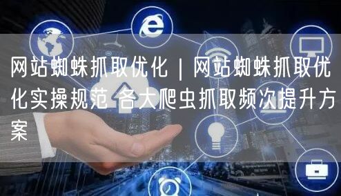 网站蜘蛛抓取优化实操：提升爬虫频次与网站收录