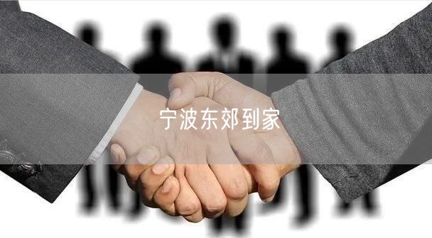 宁波东郊到家：一站式便捷生活服务，满足家庭多样需求