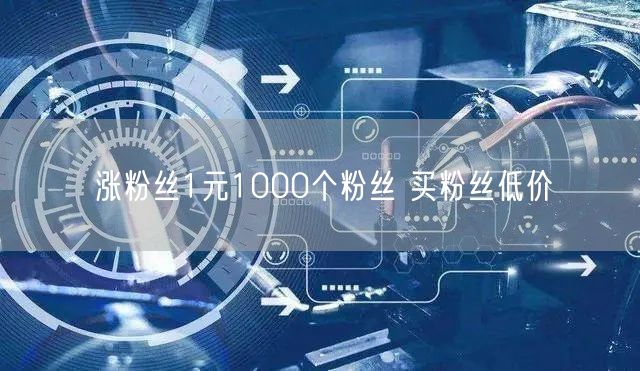 涨粉丝1元1000个粉丝 买粉丝低价