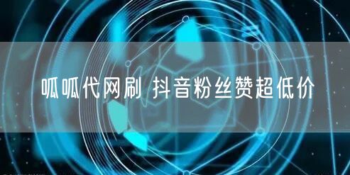 呱呱代网刷 抖音粉丝赞超低价