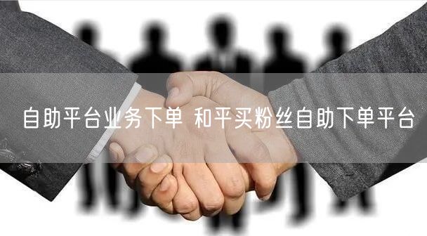 自助平台业务下单 和平买粉丝自助下单平台