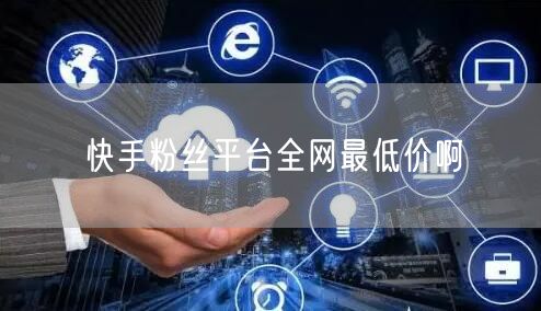 快手粉丝平台全网最低价啊