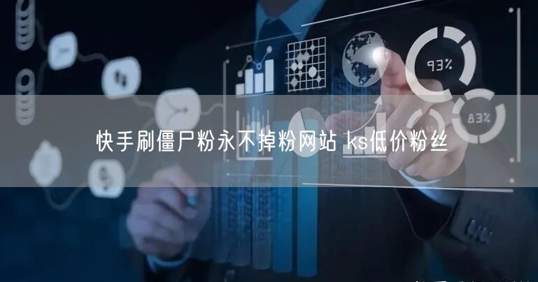 快手刷僵尸粉永不掉粉网站 ks低价粉丝