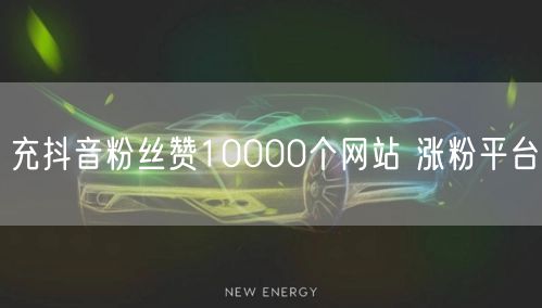 充抖音粉丝赞10000个网站 涨粉平台