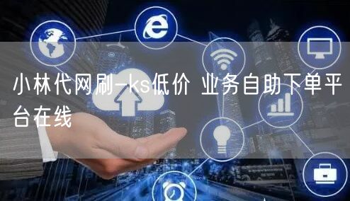 小林代网刷-ks低价 业务自助下单平台在线