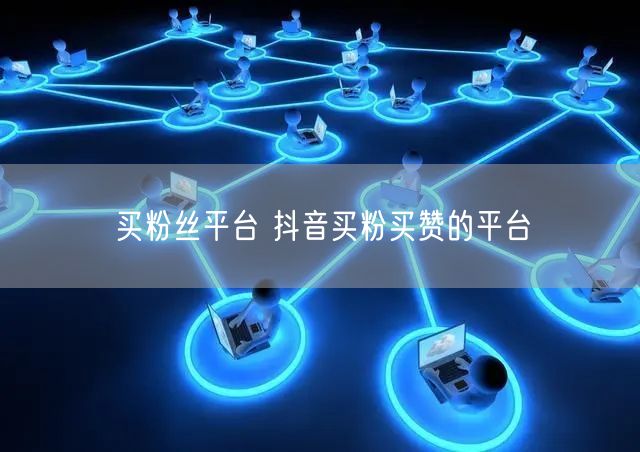 买粉丝平台 抖音买粉买赞的平台